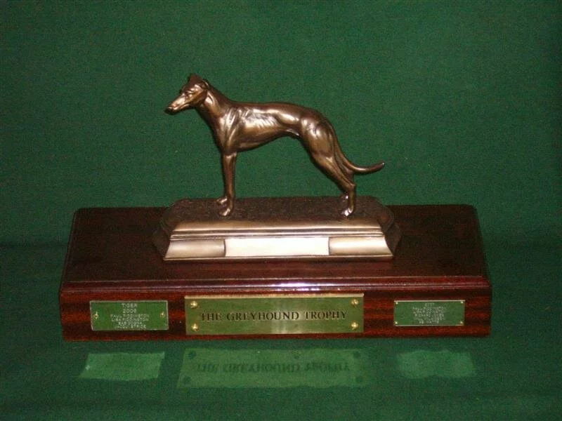Gallery Image The Greyhound Trophy
